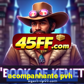 acompanhante pvh